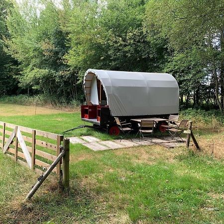 Huifkar In Landelijke Omgeving De Mersken 9 Ureterp Exteriér fotografie